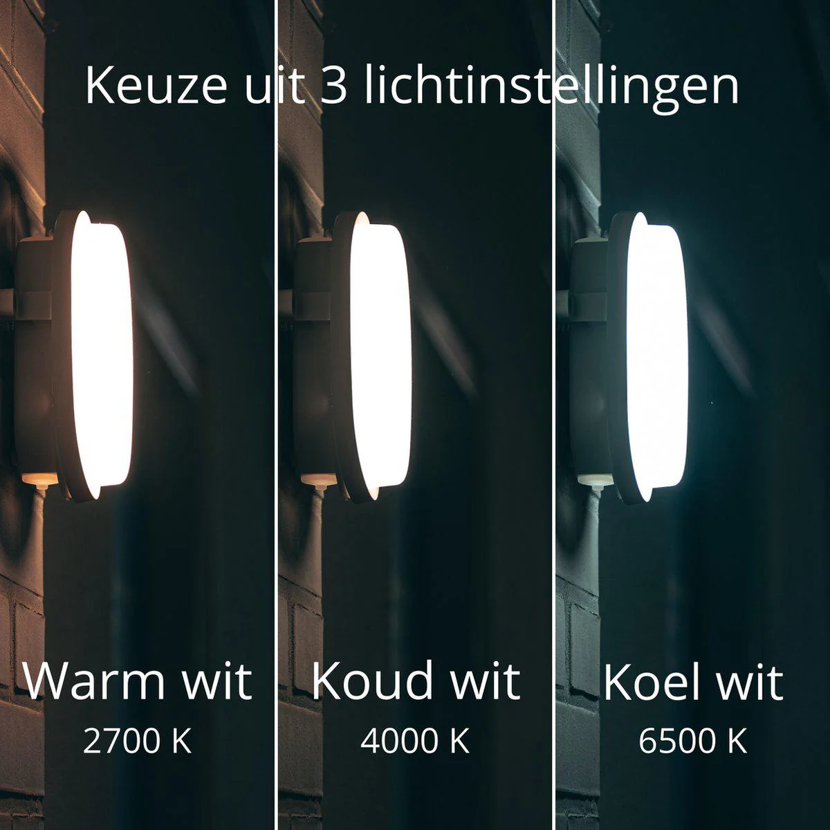 Productafbeelding 3