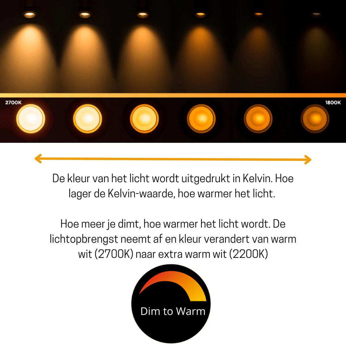 Productafbeelding 5