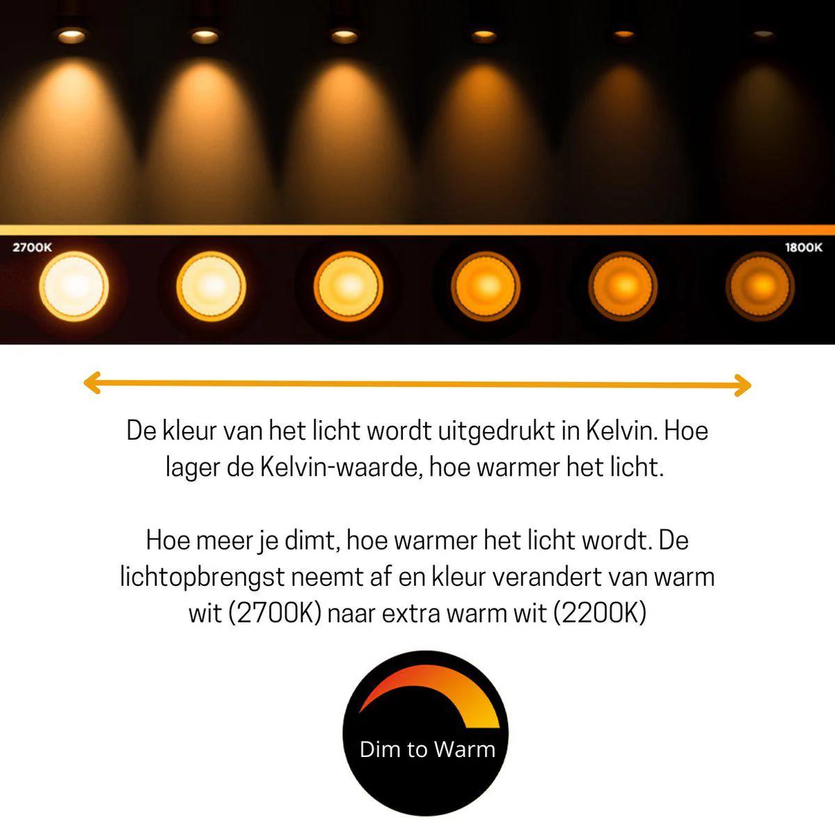 Productafbeelding 3