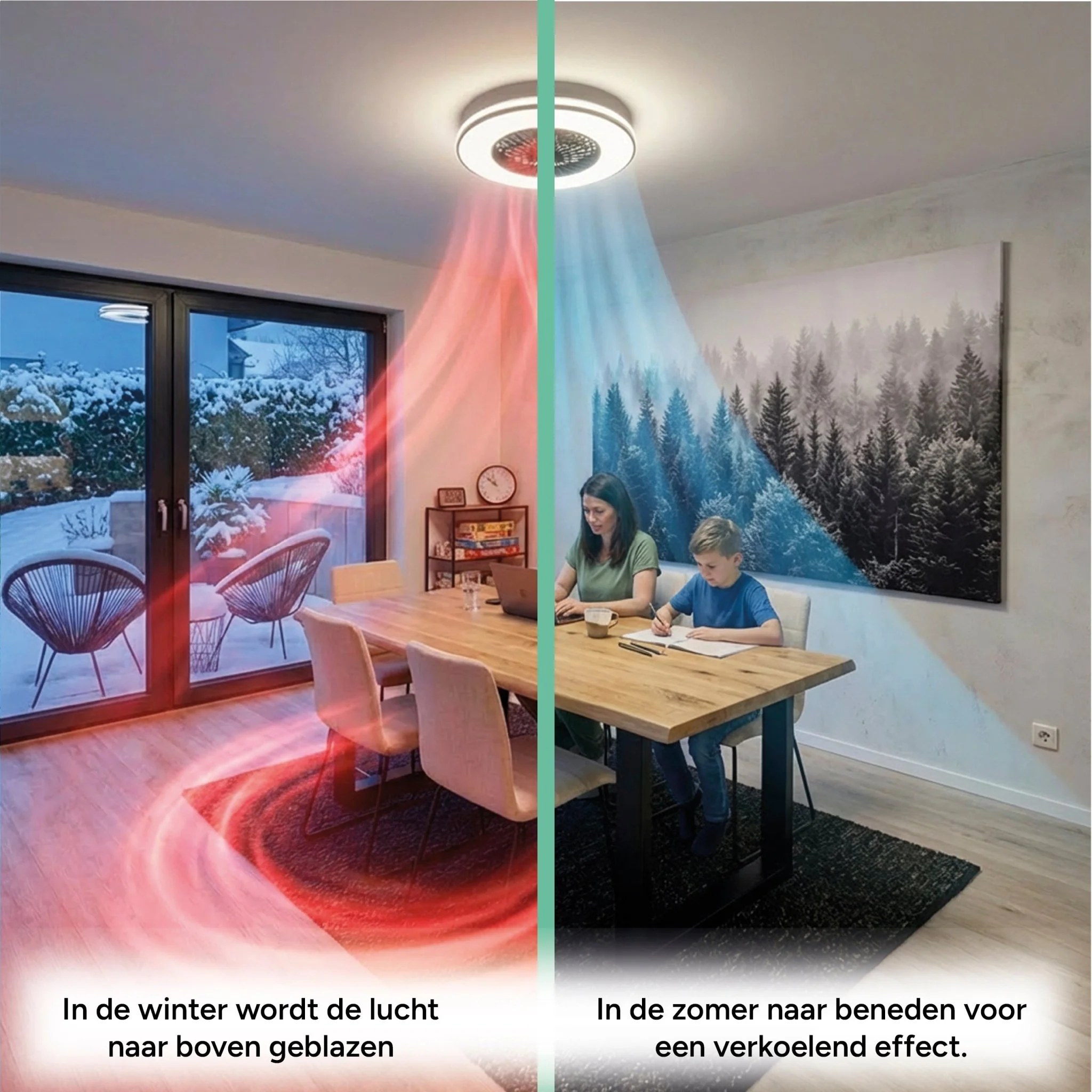 Productafbeelding 8