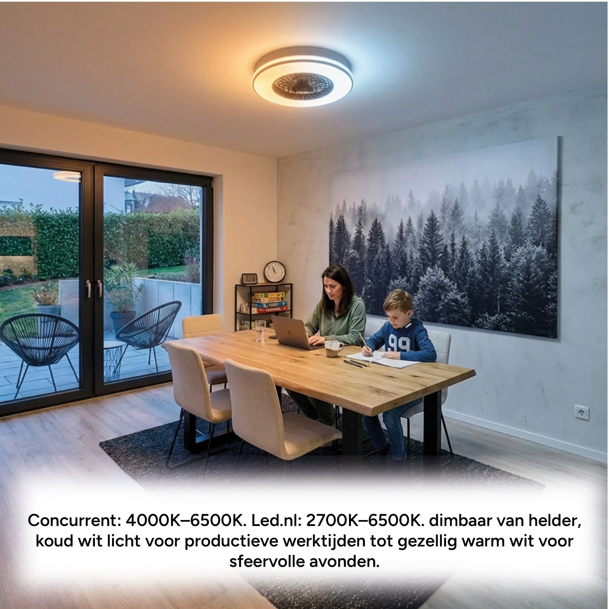 Productafbeelding 9