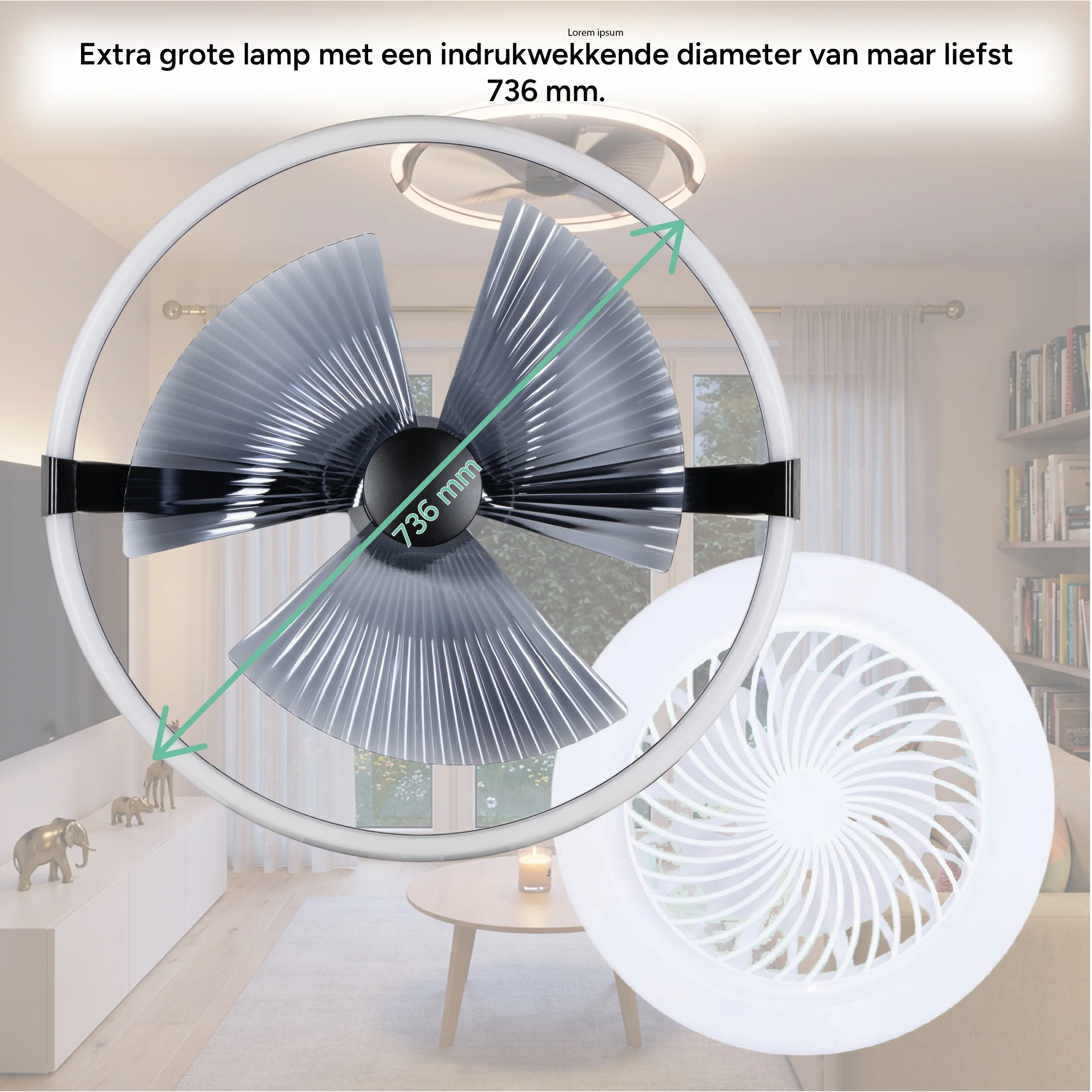 Productafbeelding 6