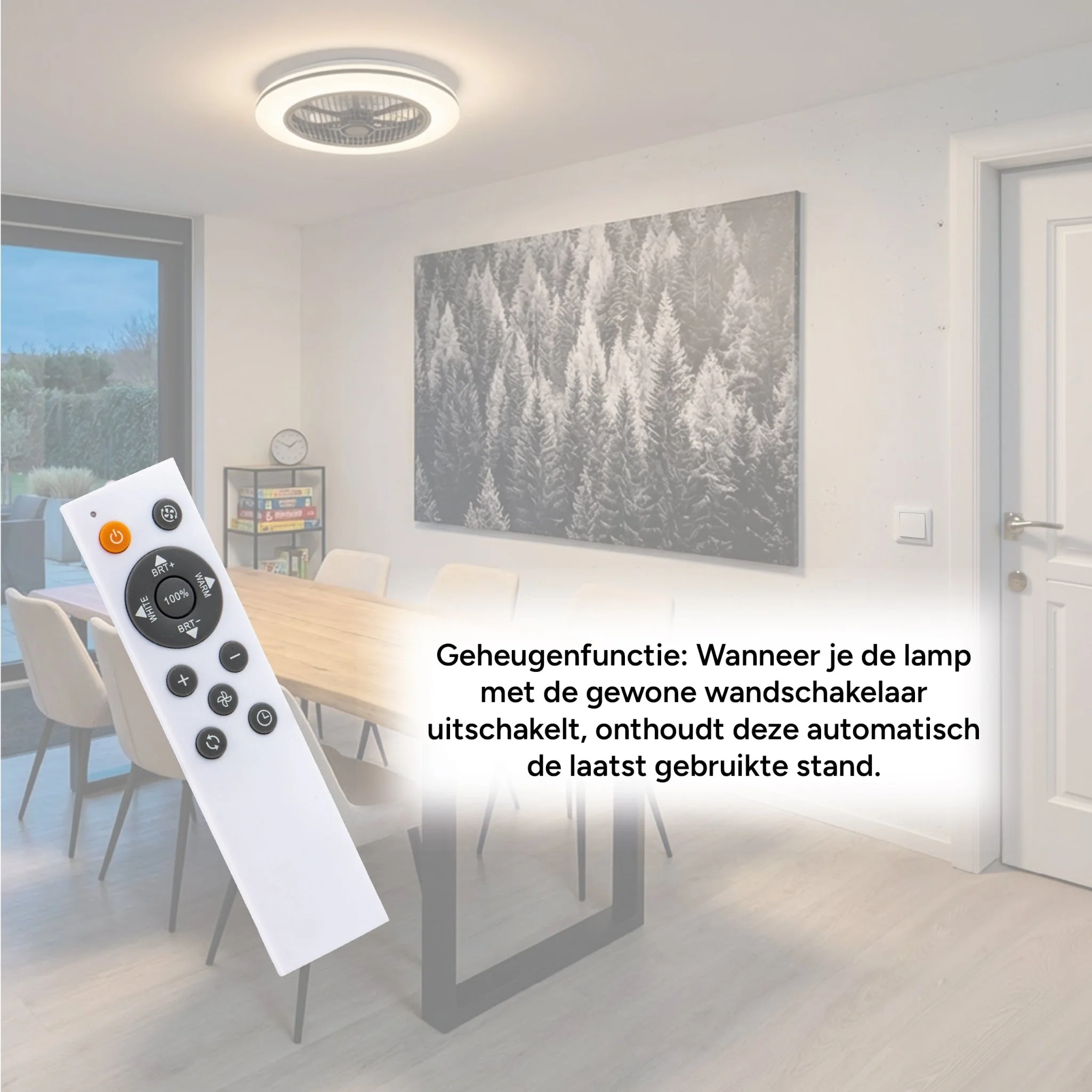 Productafbeelding 10