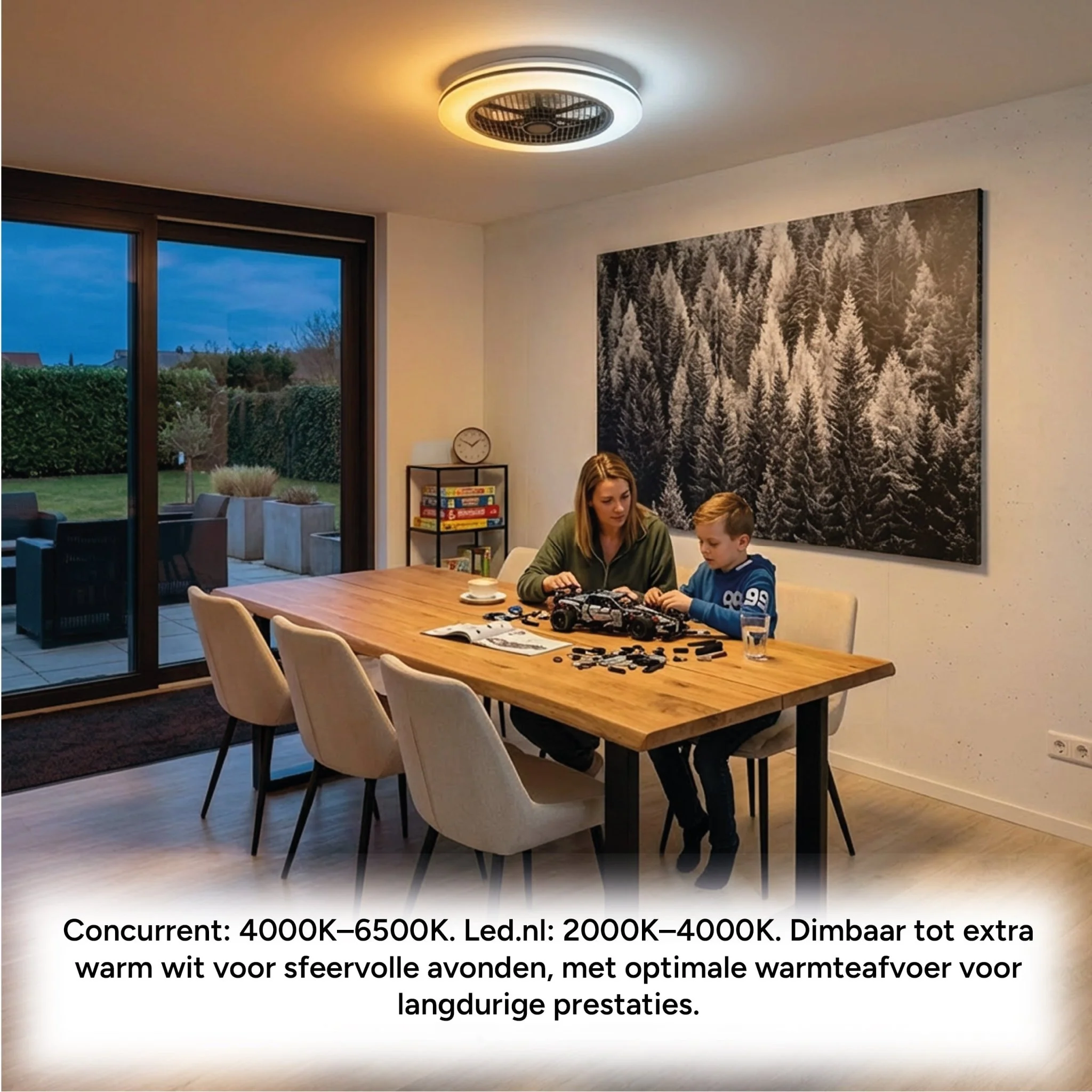 Productafbeelding 9